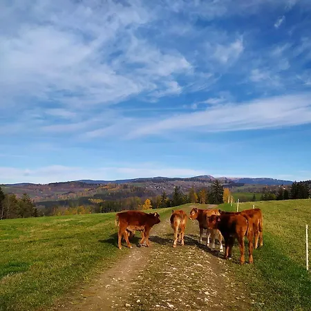 Maringotka Na Vysluni Vichova nad Jizerou